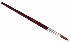 ali551000n