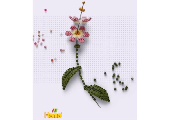 hama3621_20230125125622n